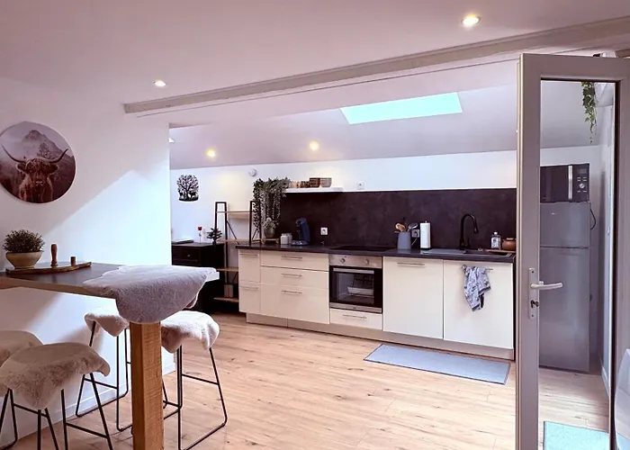 Les Cocons Des Guedons Le Meleze * Le Ménil